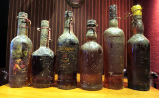 海中熟成酒プロジェクトの参加 〜水深２０メートルで瓶内熟成。　前半